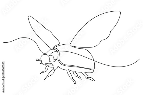 Elegant minimalist one line drawing of ladybugs with smooth outline and isolated modern appearance
