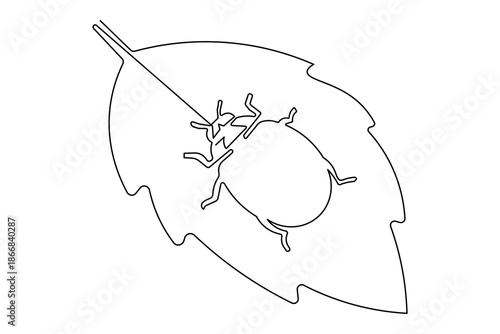 Elegant minimalist line art showing ladybugs drawn with a single continuous line and isolated outline appearance