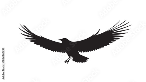 A large black bird with wings spread wide in mid flight against a plain white background