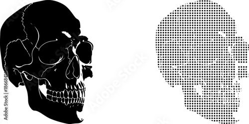 Human skull silhouette and dotted head profile