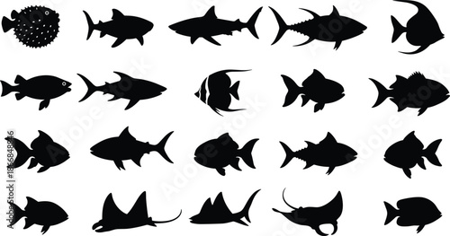 Large silhouette collection of tropical sea fish, sharks, stingrays, and pufferfish isolated on white background for marine life and ocean vector design,