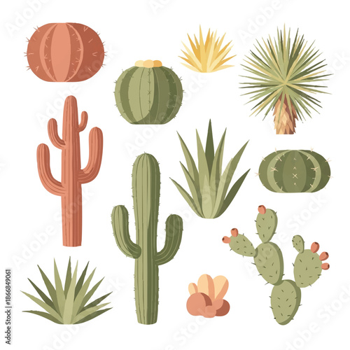 Cartoon illustration of various desert plants including cacti and succulents in a cute, colorful style against a clean white background.
