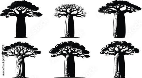 Black silhouette set of African baobab trees with thick trunks and unique branches, isolated on white background for nature design.