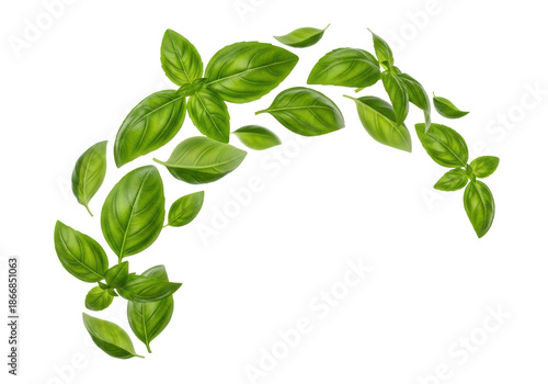 Vibrant green basil leaves, intricate texture, flowing dynamically in arc, transparent background, copy space, selective focus, motion blur, concept of natural freshness