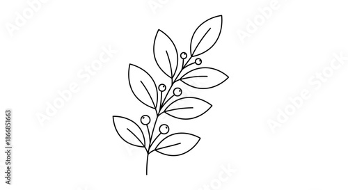 Elegant black and white line art of a botanical branch with multiple leaves and small round berries, ideal for minimalist decor.
