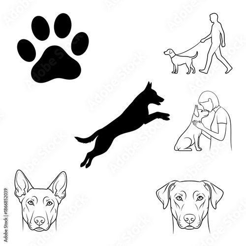 Adobe Illustrator Artwork