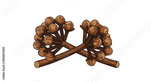 Detailed illustration of two crossed stems of dried cloves, a fragrant spice used in cooking, baking, and for holiday aromas.