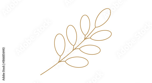 Simple and elegant outline of a plant branch with oval-shaped leaves in a golden-brown color, a minimalist botanical design element.