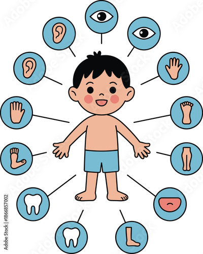 Vector Educational Illustration of a Young Boy Character with Icons Identifying Eyes Ears Hands Feet Teeth and Tongue