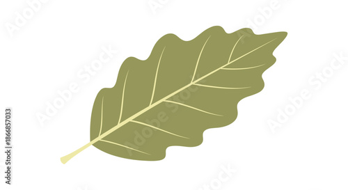 Simple and elegant illustration of a single green oak leaf with visible veins, depicted in a soft, flat artistic style on a white background.