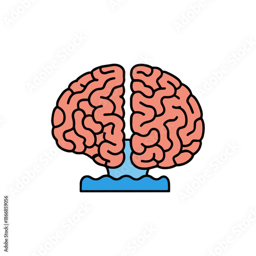 Illustration of the human brain, representing thoughts, ideas, and cognitive processes, with a splash of water beneath it