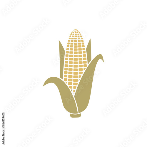 Fresh ripe yellow corn on the cob with green husk and organic leaf isolated on a white background as a healthy raw vegetable harvest