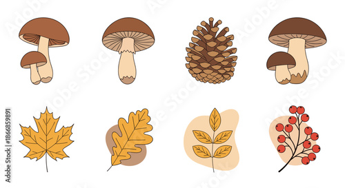 Autumn nature icons collection features realistic mushrooms a pinecone and various colorful fall leaves from different tree species.