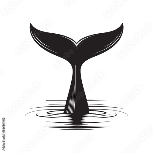 Whale tail in water silhouette vector black color white background (3).eps
