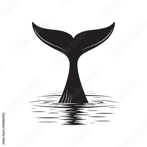 Whale tail in water silhouette vector black color white background (1).eps