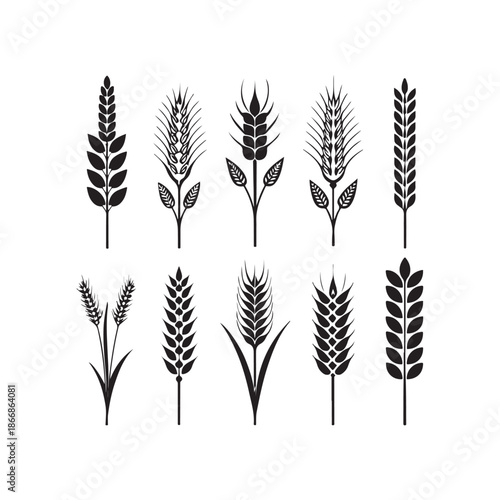 silhouette, drawing, ear, gold, graphic, grain, illustration, barley, cereal, crop, field, flour, harvest, healthy, icon, nature, rye, seed, vector, wheat, agriculture, bread, farm, food, natural, org