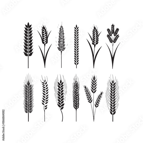 silhouette, drawing, ear, gold, graphic, grain, illustration, barley, cereal, crop, field, flour, harvest, healthy, icon, nature, rye, seed, vector, wheat, agriculture, bread, farm, food, natural, org