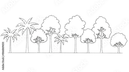 A simple line drawing of various trees and palm trees in a row vector illustration