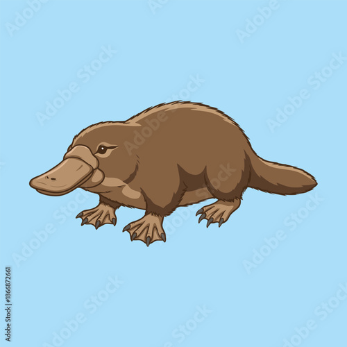 Platypus Ornithorhynchus anatinus Flat Design Mammal - Animal Character Vector Illustration 