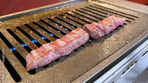 ロースター 焼肉 シャトーブリアン