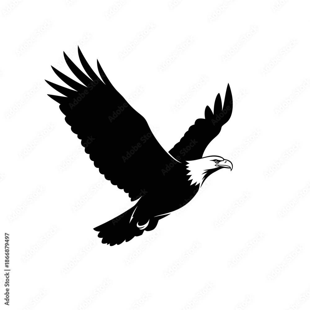 Obraz premium A striking silhouette of a majestic bald eagle in powerful flight