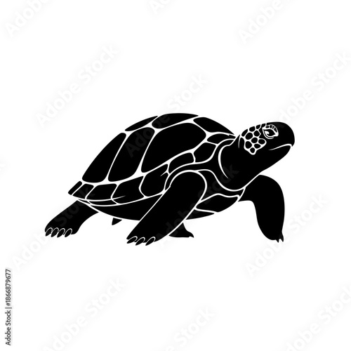 A striking black and white silhouette of a turtle walking forward