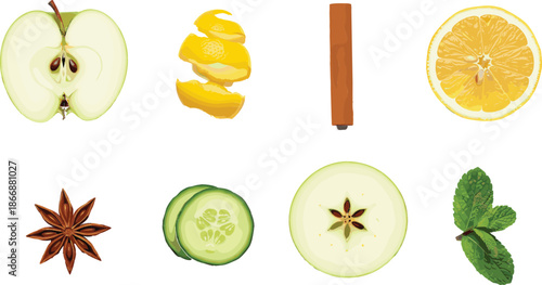 Fresh organic ingredients set with apple slices, lemon, cucumber, cinnamon stick, star anise, mint leaves and citrus peel isolated on white background vector.