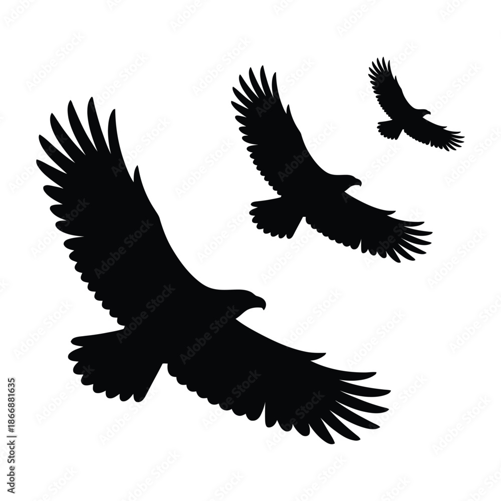 Fototapeta premium Pair of eagles together Vector, Silhouette, Illustration
