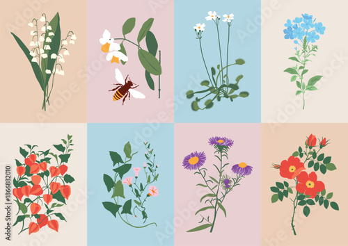 Botanical Illustrations of Flowers and Bumblebee.