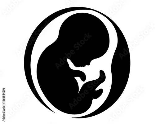 silhouette of a baby in a womb, black and white style image
