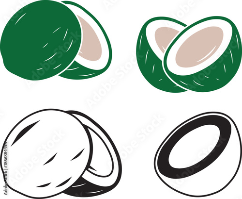 Coconut Vector Illustration Set Whole and Half Coconut.