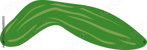 vector illustration of cucumber isolated on white background