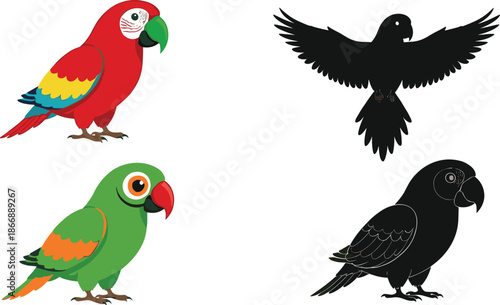 Parrot bird vector set with colorful cartoon illustrations and black flying silhouettes tropical wildlife isolated