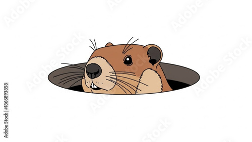 A cartoon otter peeking out of a hole in a white background