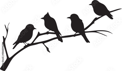Groupe d'oiseaux sur une branche sur un fond transparent - Silhouette