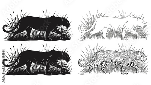 Black and white depictions of big cats stalking through tall grass