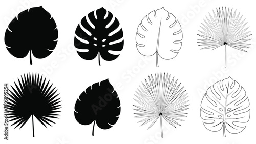 A collection of tropical leaves in black and white illustrations