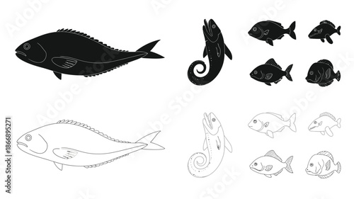 Black and white illustrations of various fish species in different styles