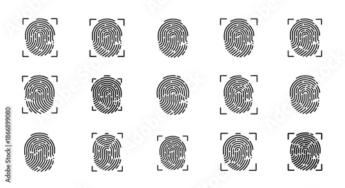 Collection of fingerprint patterns