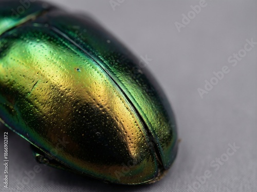 Macro of Iridescent Beetle Shell with Metallic Green and Gold Hues