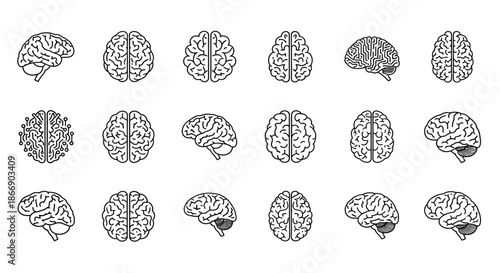 Collection of illustrated brain diagrams