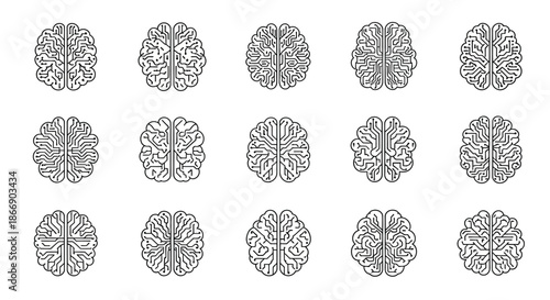 Grid of detailed human brain illustrations