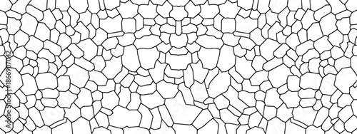 Abstract geometric line art. Black and white voronoi seamless pattern vector illustration background with irregular cells
