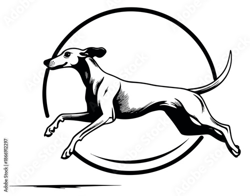 Hand drawn illustration of a greyhound depicting dynamic running for pet related design