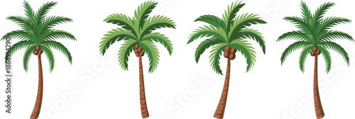 Cartoon tropical palm trees with coconuts, beach and summer theme – cad drawing flat vector illustration vectorizer
