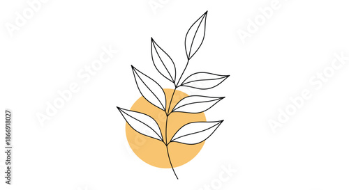 Minimalist botanical illustration of a leafy branch placed over a soft orange circular shape on a plain white background.