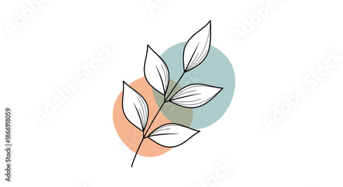 Artistic depiction of a branch with detailed leaves set against two overlapping pastel-colored circles on a white background.
