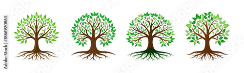 Vector tree illustrations with green leaves and strong root system