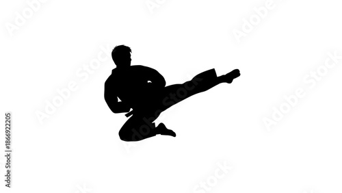 Man Silhouette Doing Karate Kick.