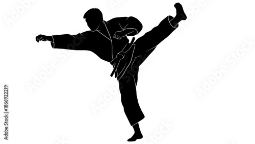 Martial Artist Performing High Kick Silhouette.
